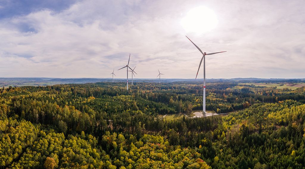 Windkraftanlagen im Wald