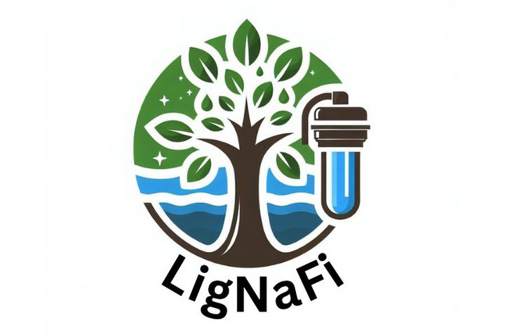 Logo Cross-Cluster-Projekt LigNaFi
