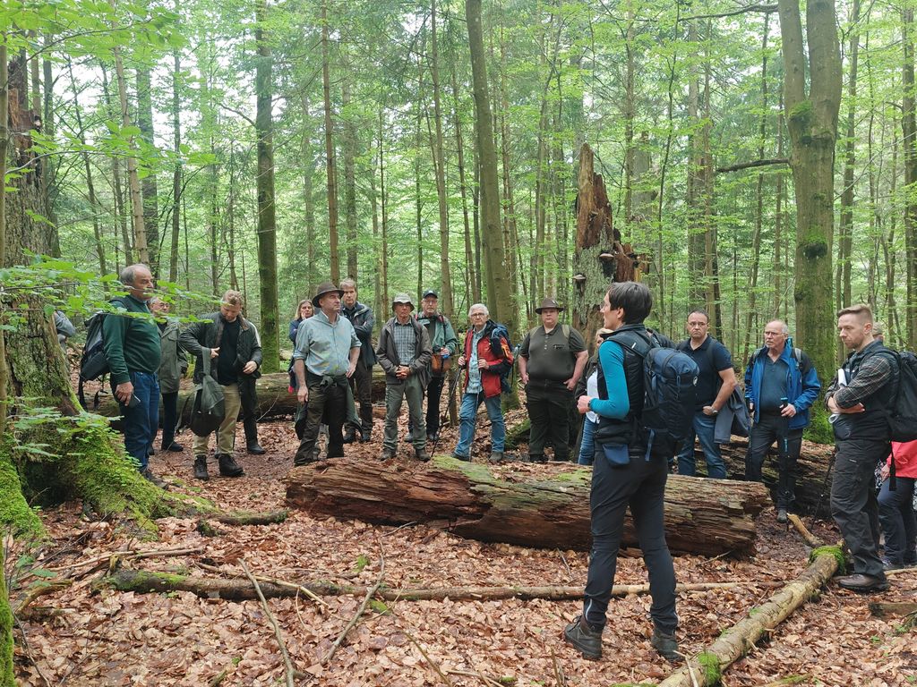 Die Gruppe bei der Exkursion im Nationalpark. Foto: StMWi/V. Klimke
