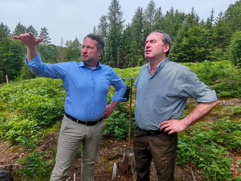 Staatsminister Hubert Aiwanger bei der Waldbegehung im Spessart gemeinsam mit Forstbetriebsleiter Florian Vogel. Foto: Kliemke/StMWi