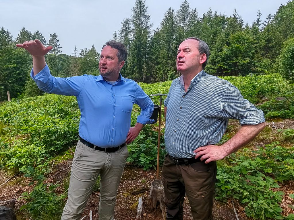 Staatsminister Hubert Aiwanger bei der Waldbegehung im Spessart gemeinsam mit Forstbetriebsleiter Florian Vogel. Foto: Kliemke/StMWi