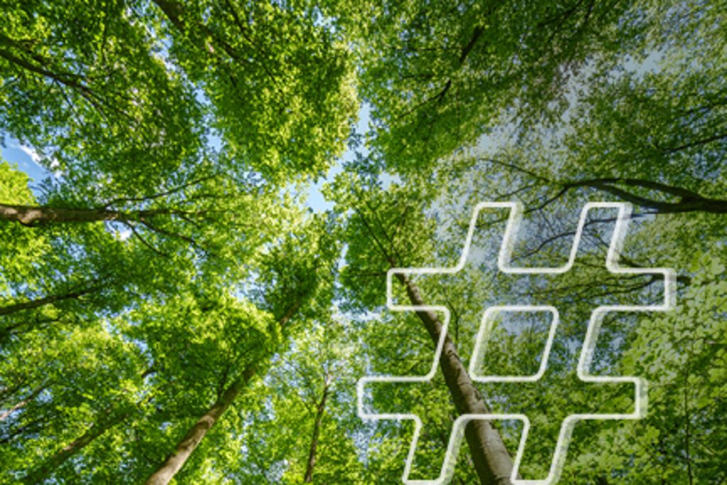 Vorschaubild für das Cluster