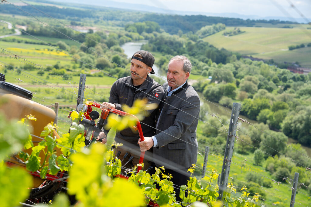 Drohnen können die Arbeit im Weinberg deutlich erleichtern - besonders in Steillagen, wo bisher schweres Gerät notwendig ist. Foto: B.Brummer/StMWi.