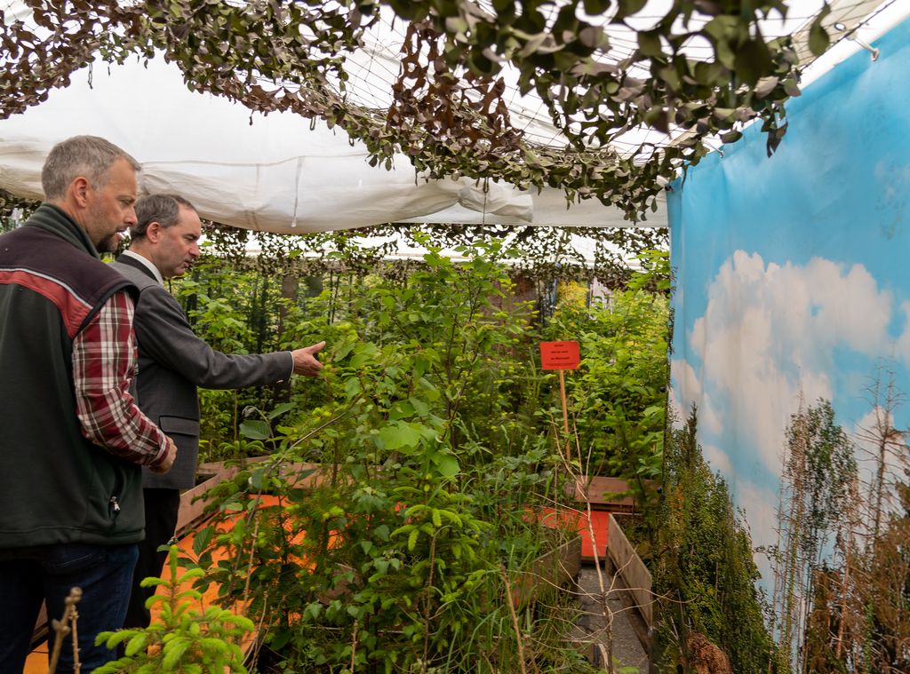 Der Klimawald ist eine neue, informative Publikumsattraktion. Staatsminister Aiwanger lässt sich diese neue Fläche erklären. (Foto: StMWi / E. Neureuther)