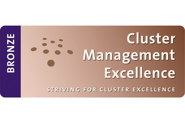 Bronze Auszeichnung des Go-Cluster Programms. 