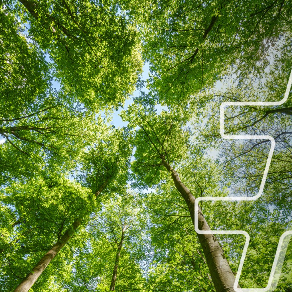 Vorschaubild für das Cluster