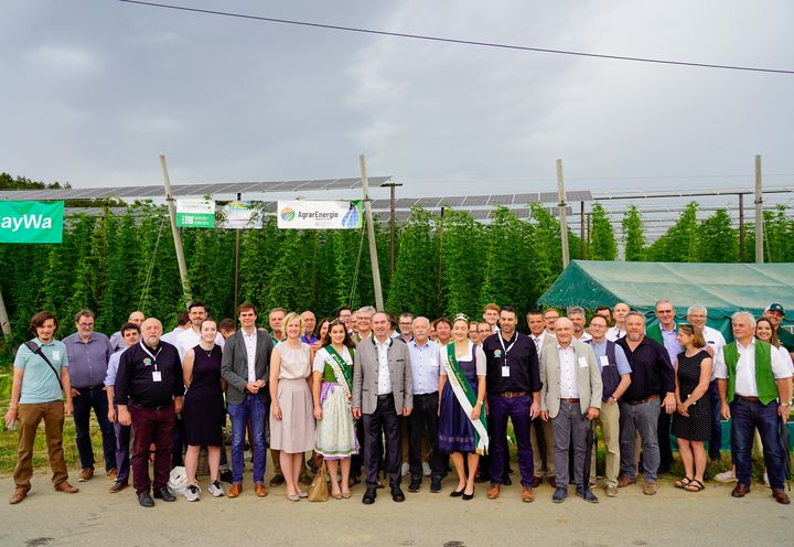 Die Einweihung der ersten Hopfen-Agri-PV-Anlage fand in Au in der Hallertau statt. Foto: Elke Neureuther/StMWi