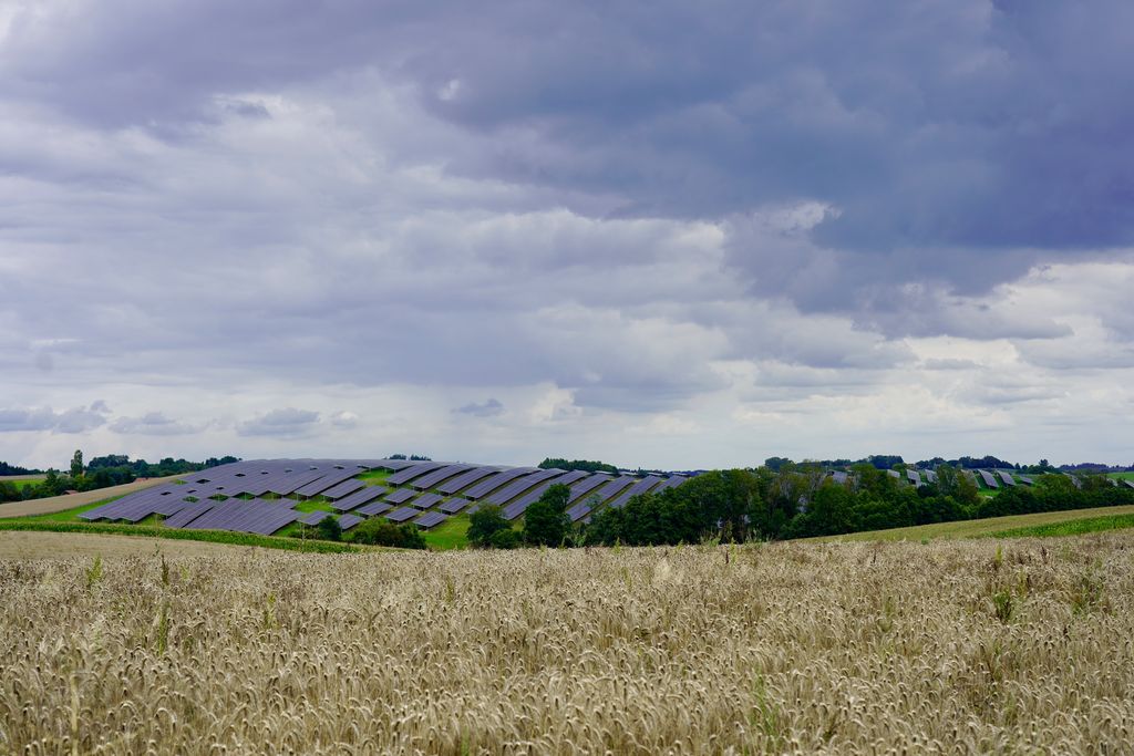 Ein Teil der Agri-PV-Anlage im Dorfener Ortsteil Wies. Foto: StMWi