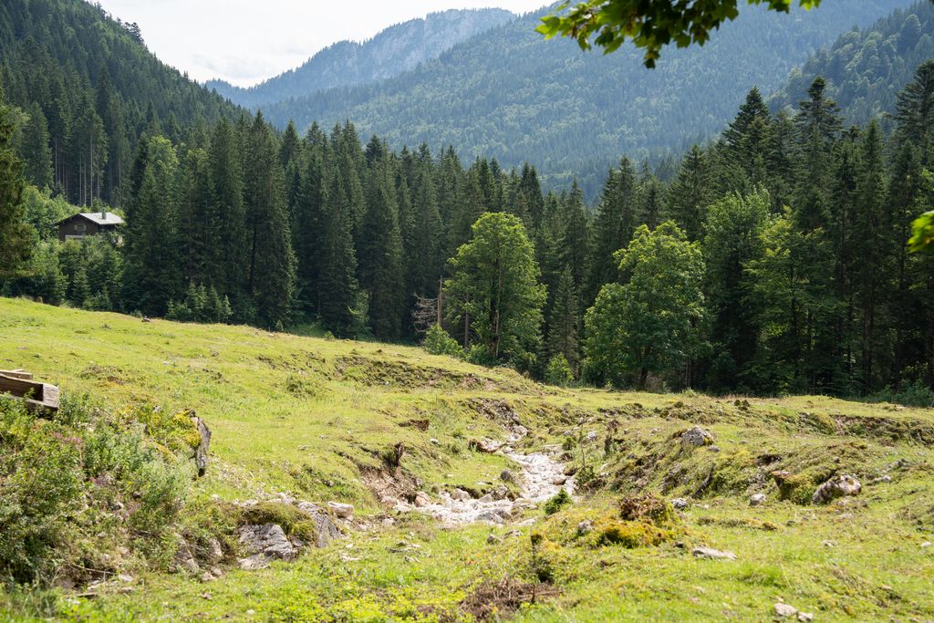 Über 14.000 Bergbauernbetriebe pflegen rund 370.000 Hektar Bergregionen in Bayern und schaffen Lebensräume für Mensch, Tier und Natur. Foto: StMWi/Bastian Brummer