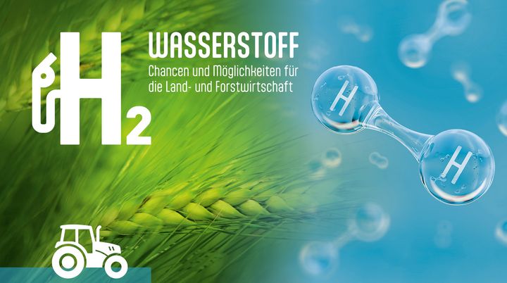 Wasserstoff-Gipfel 